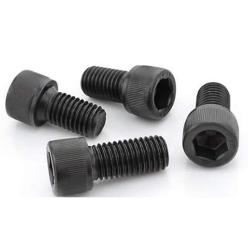 CG ROTOR VİDASI adet